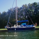 Blue Lady