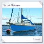 Parvus Quinque