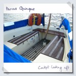 Parvus Quinque