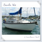 A handsome ship