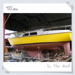 In the shed